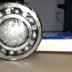 Cuscinetto SKF 6317