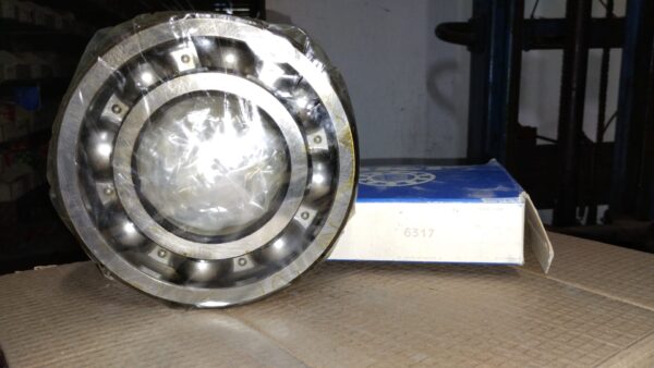 Cuscinetto SKF 6317