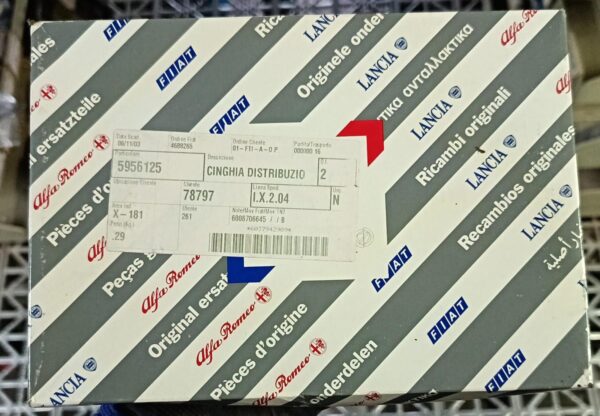 Cinghia distribuzione FIAT 5956125 per FIAT LANCIA e ALFA ROMEO